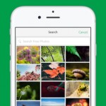 Adobe-Post-la-nuova-app-gratuita-per-iPhone-per-creare-grafiche-mozzafiato-3