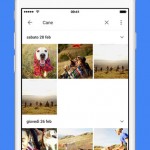 Google-Foto-per-iOS-si-aggiorna-introdotto-il-supporto-per-Live-Photos-e-Split-View-3