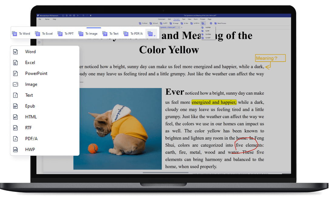 Convertire e modificare PDF su Mac