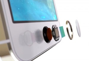 Ecco da cosa è composto il Touch ID